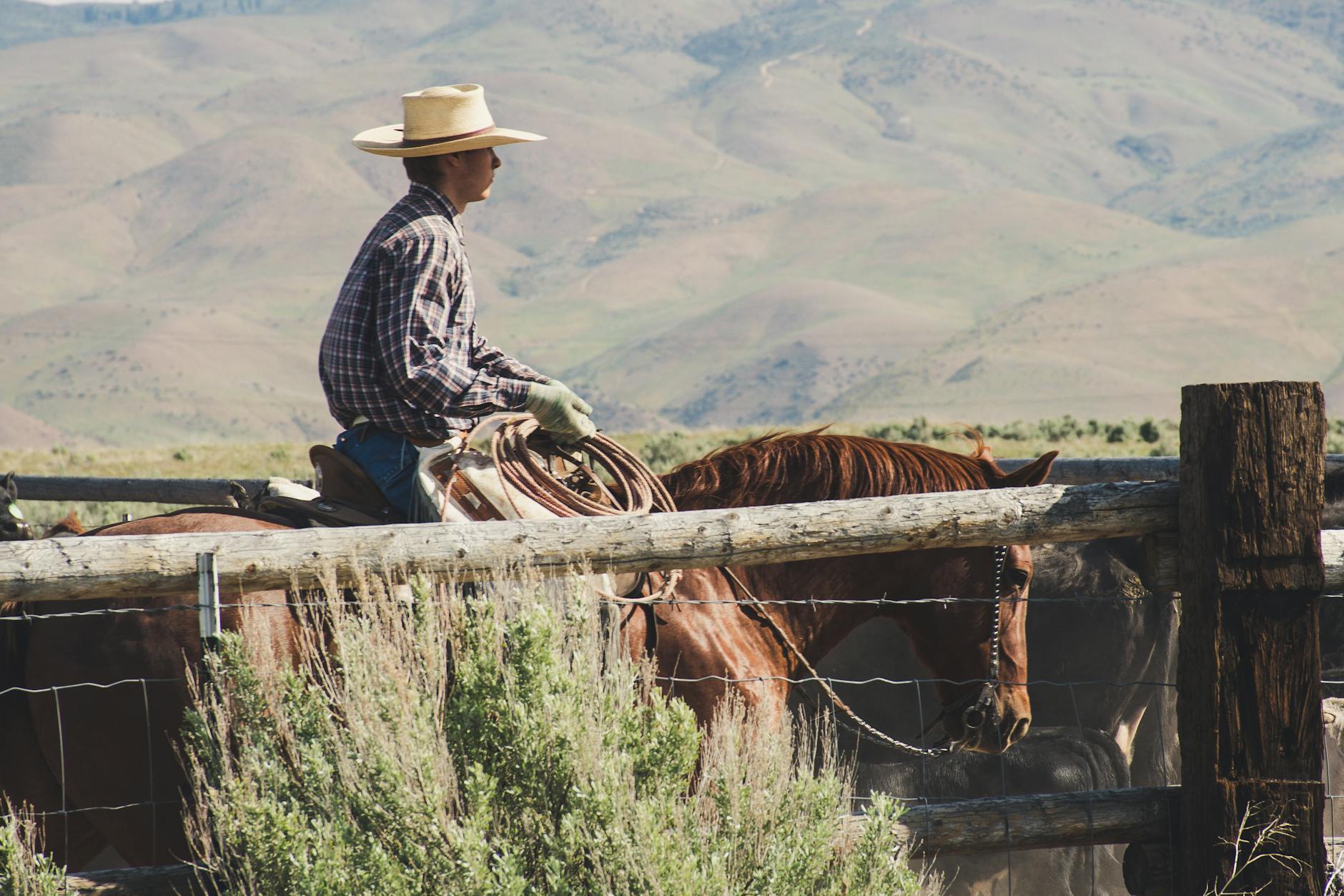 photography of a man riding horse